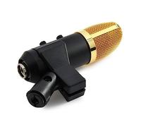 ifundom F100tl Condenser Microphone for Echo Function Built-in Reverb Chip Cardioid Pickup Mini Microphone