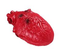ifundom Fake Heart Prop Halloween Fake Heart Realistic Human Core for Haunted House, Zombie Party, Halloween Horror Costumes and Themed Decorations