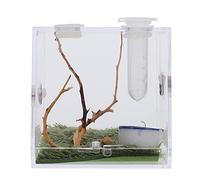 ifundom Jumping Spider Habitat Box Small Ecological Breeding Carrier for Florida Jumping Spiders Enclosure Side Opening for Easy Access for Insect Breeding