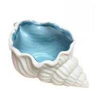 ifundom Mini Ceramic Conch Shell Flower Pot 13X7X6Cm White Decorative Desk Planter Container for Succulents and Preserved Flowers