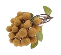 ifundom Realistic Fake Longan Decor Plastic Simulated Fruit Model Colour Retention, Lifelike and Natural Appearance for Shop Display and Teaching Use