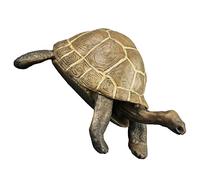 ifundom Realistic Plastic Tortoise Model Cognitive Turtle for Early Development Learning Bright Decoration for and Animal Themed Parties