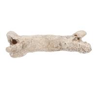 ifundom Reptile Hideout Cave Resin Bone-shaped Hide Place for Reptile Feeding Box Landscaping and Terrarium Decoration
