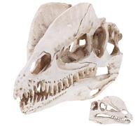 ifundom Resin Dinosaur Skull Ornament Figurine Model Delicate and Realistic Dinosaur Skull Decoration for Aquarium Landscape and Table Display Creative Home and Bar Decor Accent