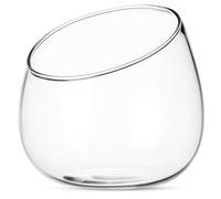 ifundom Slanted Glass Terrarium and Decorative Glass Vase for Plants and Succulent Pots, Compact Design Unique round Shape for Small Gardens and Home, Adds Elegant Charm