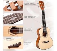 IGERCN Ukulele Set, Ukulele Soprano Concert Ukulele 23 inch Ukelele Hawaii guitar Stringed Musical Instrument(BWBAG-ACC)