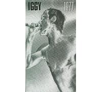 Iggy Pop - 1977