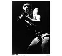 Iggy Pop London Rainbow Theatre 1977 Poster