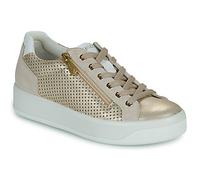 IgI&CO Shoes (Trainers) D.AVA in Gold 3.5