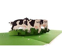 iGifts And Cards Dairy Cows 3D Pop Up Greeting Card - Cattle, Farm, Barn, Grass, Wow, Half-Fold, Happy Birthday, Friendship, Thank You, Father's & Mother's Day, All Occasions, Retirement, Welcome