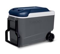IGLOO MaxCold 40QT Roller Cool Box, Ash Grey/Blue, 38 Litre