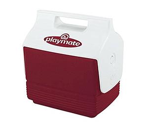 Igloo MiniMate 4 Qts personal cooler mini Ice Chest - Push Button