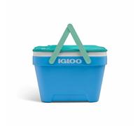 Igloo Picnic Basket Cooler 23L (25 Quart) - Portable Hard Cooler with THERMECOOL Insulation, Cool Fusion Lid with Storage Pockets, Swing-Up Carry Handles, Holds up to 36 Cans