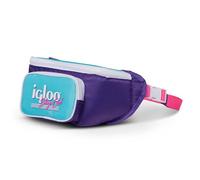IGLOO Unisex-Adult Retro Cooler, Purple, 3 Can