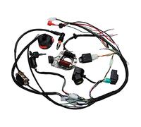 Igniter CDI Unit Box 1Set Full Electrics Wiring Harnessfor Motorcycle Quad ATV