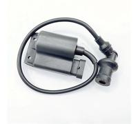 Ignition Box with Integrated Coil for 50cc 4-Stroke 2V Engines Compatible with Fly, Liberty, Zip, and ET4 Models - 4-Pin Connector