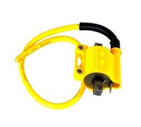 ignition CDI box Motorcycle Accessories Engine Spark Plugs Set Off-road Parts CDI Box Ignition Coil for D9RIV NC250 NC300 All 4T/2T
