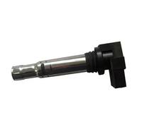 Ignition coil 060717062012 MAGNETI MARELLI for VW SEAT SKODA AUDI