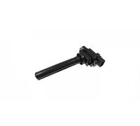 MAGNETI MARELLI 060717099012 Ignition coil