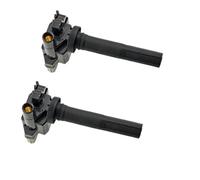 ignition coil 2pcs DQZ9202 Ignition Coil 33400-65G00 33410-77E01 For SUBARU For JUSTY III (G3X) 2003/09- engine ignition coil
