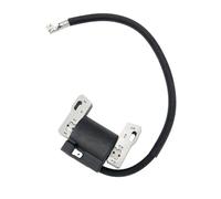 Ignition Coil 691060 799651 843931 844548 845606 592846