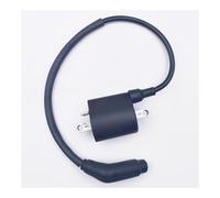 Ignition Coil And Wire For Linhai 260 300 E2 300 T3b 400 E2 400 2B IRS 500 E2 LH260 LH300 LH400 LH500 22012