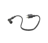 Ignition Coil Assemlby For AGM For Fighter 125 GS For Eco For Deluxe For Firejet Motorcycle Ignition Coil