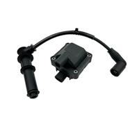 Ignition Coil Assemlby For Aprilia For Scarabeo For Atlantic For Sport For City For Cube Sr For Max For Atlantic500 For Scarabeo500 12V Ignition Coil 77187322(With line)