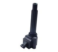 Ignition Coil BDW1N116 GCA3705100 Auto Parts Auto Parts(Only 1 Piece)