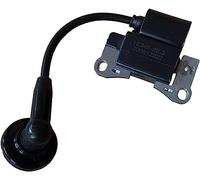 Ignition Coil Compatible with 1E34F-2E 1E34F-2E.3 KASEI TLE26 CG260 BC260 Magnetor Stator Spare Parts
