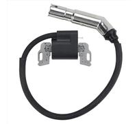 Ignition Coil Compatible With 595304 592841 799650 795315