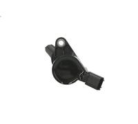 Ignition Coil DELPHI GN10164-11B1 for FORD USA F-150 4.6 1998-2001
