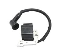 Ignition Coil Fit For BG45 BR45 BG46 BG50 BG55 BG65 BG85 SH55 SH85 075 4229 400 1300