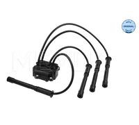 MEYLE 16-14 885 0003 Ignition coil