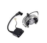 Ignition Coil For 50 SX Electric And Ignition Internal Rotor Stator Magneto For Gy6 Motorcycle 50cc Coil Pit Bike Ignition Switch Coil