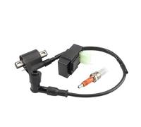 Ignition Coil For 50cc 70cc 110cc 125cc 150cc 200cc 250cc ATV Scooter Quad Dirt Bike Motorcycle Ignition Coil + 6 Pin AC CDI Box + Spark Plug Ignition Switch Coil