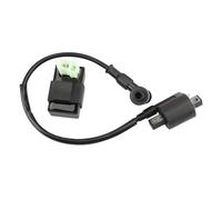 Ignition Coil For 50cc 70cc 110cc 125cc 150cc 200cc 250cc For ATV Scooter Quad Dirt Bike Motorcycle Ignition Coil 6 Pin AC CDI Box