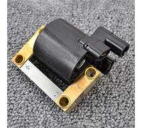 Ignition Coil For Alpine Blizzard Citation Elite Everest Nordic Olympique TNT 640 454 377 300 320 335 340 400 440 670