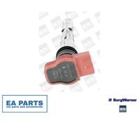 BERU ZSE051 Ignition coil