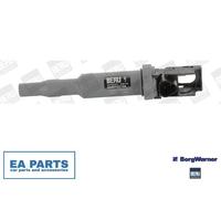 Ignition Coil for BMW E81 E87 E88 E82 BORGWARNER (BERU) ZSE144