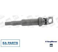 Ignition Coil for BMW E81 E87 F20 E88 BORGWARNER (BERU) ZS324
