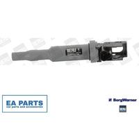 Ignition Coil for BMW E90 E93 E92 E91 BORGWARNER (BERU) ZSE144