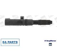 BERU ZS052 Ignition and Heating System