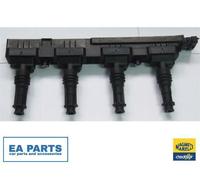 Ignition Coil for OPEL RENAULT SUZUKI MAGNETI MARELLI 060717133012