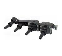 IGNITION COIL FOR PEUGEOT 1007 206 207 307 DELPHI GN10319-12B1