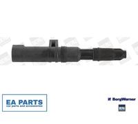 BERU ZS052 Ignition and Heating System
