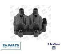 Ignition Coil for RENAULT CLIO KANGOO LOGAN BORGWARNER (BERU) ZS354