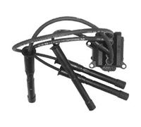 IGNITION COIL FOR RENAULT CLIO KANGOO TWINGO MAGNETI MARELLI 060717055012