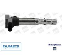 Ignition Coil for SKODA FABIA BORGWARNER (BERU) ZSE059