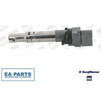Ignition Coil for VW ATLAS CC EOS MAGOTAN BORGWARNER (BERU) ZSE041